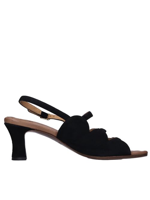  CHIE MIHARA | NARANJA ANTENERO-CASTANO